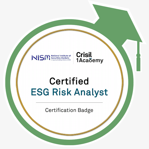 ESG Risk Analyst
